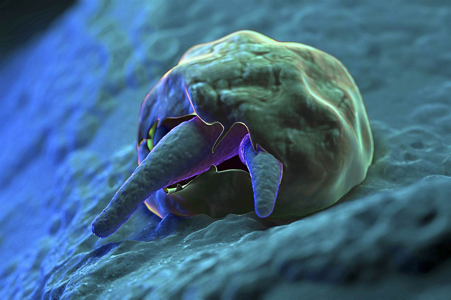 crypto parasite nhs