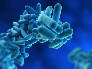 Lubron Legionella control