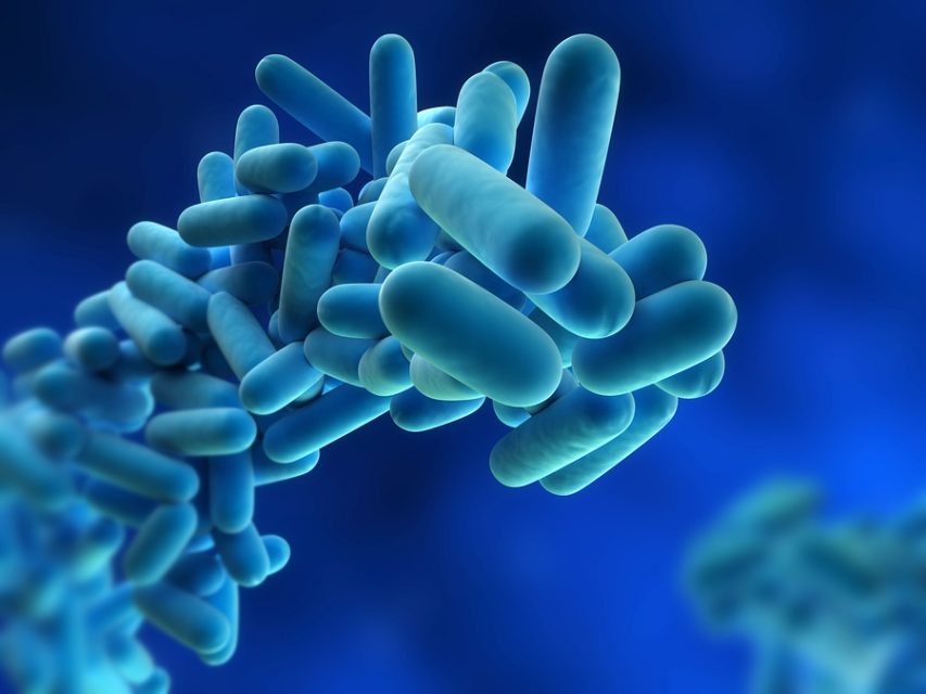 legionnaires lubron aerosols droplets